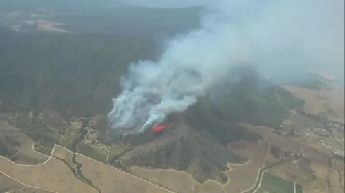 Nuevo incendio forestal en la comuna de Casablanca, en la región de Valparaíso.