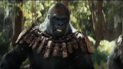 Revisa el nuevo tráiler de la esperada saga.