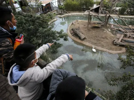 ¿Qué panoramas hay en Santiago?