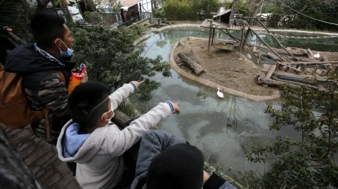 Zoológico Metropolitano (2021)