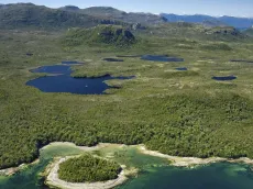 ¿Dónde está la Isla Traiguén? terreno chileno que está en venta