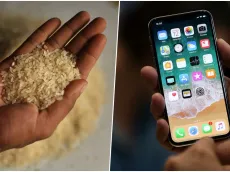 Apple desmiente mito de dejar el iPhone mojado en arroz