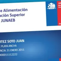 ¿Cuándo cargan la Junaeb de marzo? Conoce la fecha y nuevo monto de la BAES