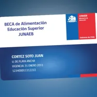 ¿Tengo la Tarjeta Junaeb? Consulta con tu RUT si tienes la beca de alimentación BAES este año