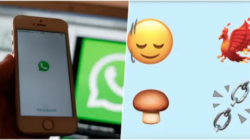 WhatsApp lanza nuevos emojis y así puedes activarlos
