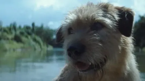 Arthur, una amistad sin límites.