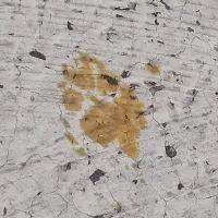 ¡Alerta en Japón! Gato cayó en un peligroso tanque de químicos y no logran encontrarlo