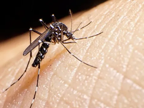 Alerta Amarilla por dengue en el norte: ¿Cuáles son los síntomas?