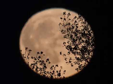 Horóscopo del 25 de marzo de 2024