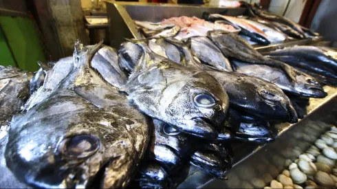 ¿Una alternativa al pescado? Gobierno advierte alza en los precios por Semana Santa
