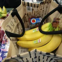 ¿Cuándo pagan el último Bolsillo Electrónico Familiar? Fecha del último pago y monto