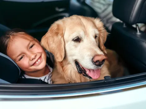 ¿Cómo viajar de forma segura con tu mascota el fin de semana largo?