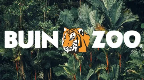 Buin Zoo
