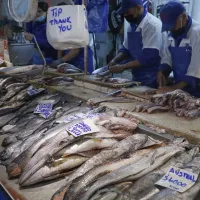 ¿Por qué sí se puede comer pescado el Viernes Santo? Las tradiciones de Semana Santa