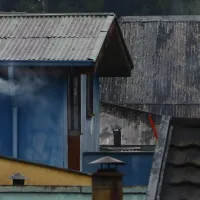 Bono Leña 2024: Los requisitos para recibir el pago de este año