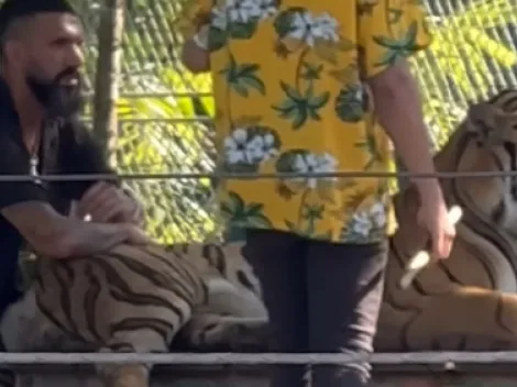 Ronnie Fernández se luce posando con un tigre