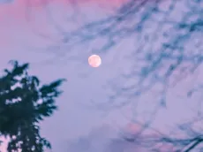 ¿Cuándo hay Luna llena Rosa en abril y cómo afectará a los signos?