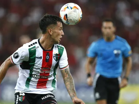 ¿Cuándo juega Palestino vs. Millonarios?