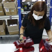 ¿Dónde puedo consultar si recibo el Bono Mujer Trabajadora y cuántos pagos son?