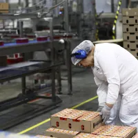 Pagos del Subsidio al Empleo Joven: Consulta si te depositaron el bono para trabajadores