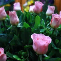 ¿Cuándo es el Día de la Madre? La explicación de por qué se celebra también el 10 de mayo