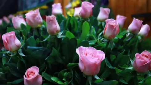 Día de la Madre 2024.