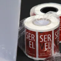 Servel: ¿Si cambio ahora mi domicilio electoral puedo votar en las elecciones primarias?