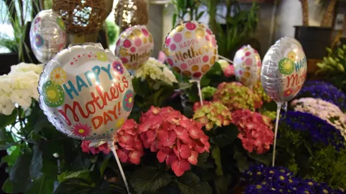 Este 12 de mayo es el Día de la Madre.