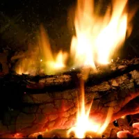 Intoxicación por monóxido de carbono: Causas, síntomas y cómo prevenir