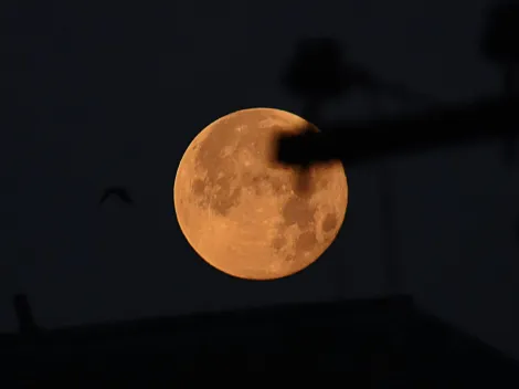 ¿Se puede ver en Chile la Luna de Flores?