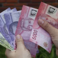¿Desde cuándo? Anuncian reajuste para la Asignación Familiar y Subsidio Único Familiar