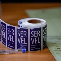 ¿Es obligatorio ir a votar? Qué pasa si no voto en las primarias y cómo funciona el sufragio