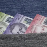 El bono para familias que entrega más dinero que el Bolsillo Familiar Electrónico