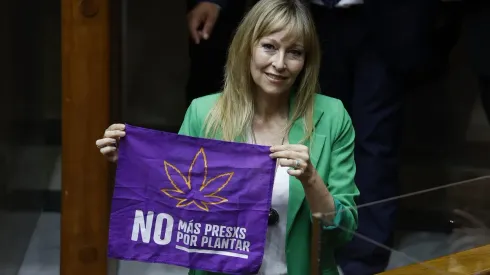 Diputada y fundadora de la Fundación Daya, Ana María Gazmuri.