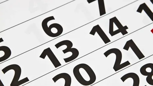 Imagen de referencia.