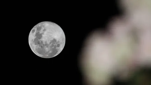 Luna Llena de Ciervo