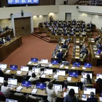 Bolsillo Familiar Electrónico vuelve al Senado: ¿Por qué todavía no se aprueba la reactivación?