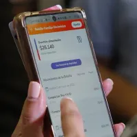 ¿Se cae el Bolsillo Familiar Electrónico de invierno? Reactivación no fue aprobada en el Senado