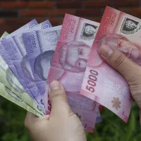 ¿Habrá nuevos beneficiarios? Los cambios del Subsidio Único, Asignación Familiar y Maternal