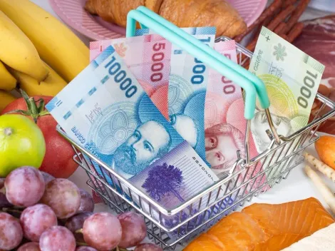 ¿Quiénes recibían el Bolsillo Familiar Electrónico? Requisitos de ChileAtiende
