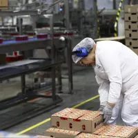 Bonos para trabajadores: Conoce el beneficio al nuevo empleo que entrega más de 200 mil