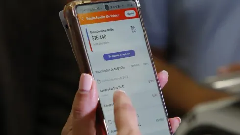 Bolsillo Familiar Electrónico