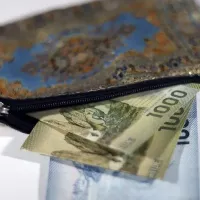 ¿Para pagar una cuenta completa? Bolsillo Electrónico puede acumularse para pagar la luz