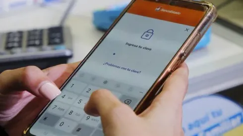 Bolsillo Familiar Electrónico