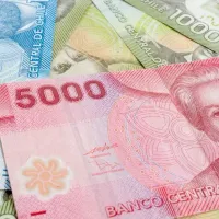 Bolsillo Familiar Electrónico reactivado: ¿Cómo saber por cuántas cargas recibiré el pago?