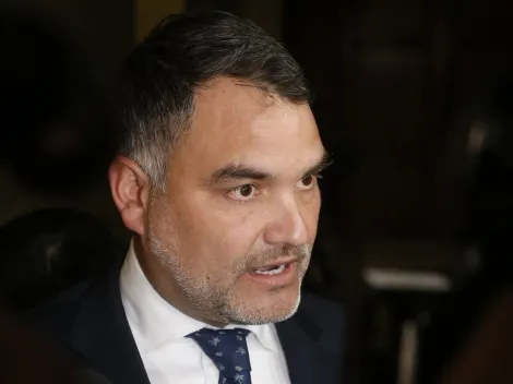 ¿Un parlamentario puede dejar su cargo?