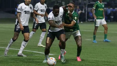 Botafogo eliminó a Palmeiras y ahora espera por Sao Paulo o Nacional