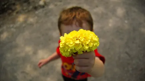 Flores amarillas