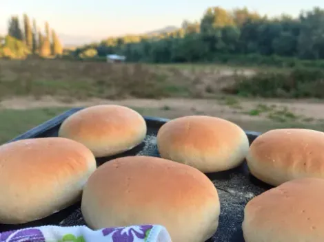 ¿Cómo hacer pan amasado? El secreto de la receta del sur