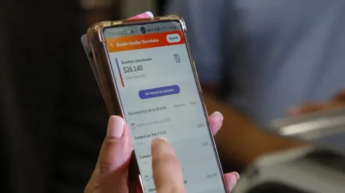 Bolsillo Familiar Electrónico